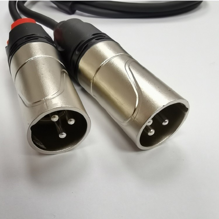 DAC C Type to Dual XLR Female Audio Cable UTC-212